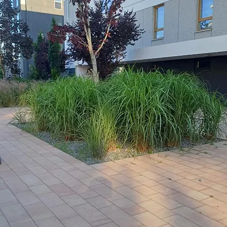 Davima Aquapark - Novum