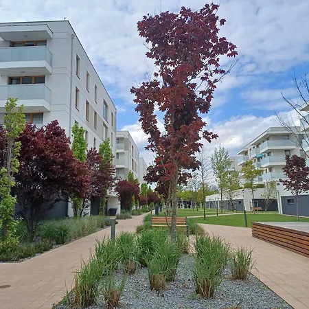 Davima Aquapark - Novum *